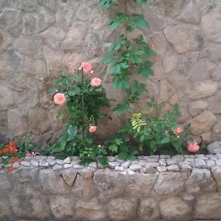 With Parking Space - 23791