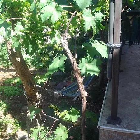 With Parking Space - 23791 Apartment *